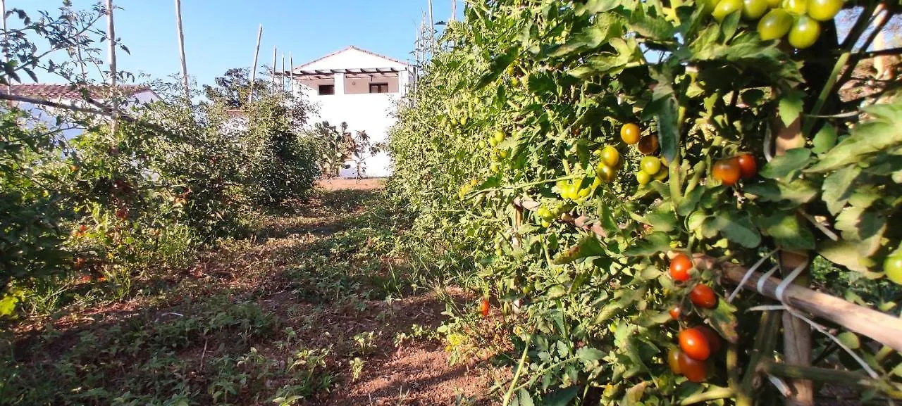 Cort'E Nastasj Hotel Tertenia